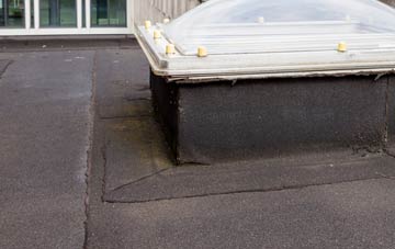 disadvantages of Cae Clyd flat roofs