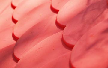 Cae Clyd plastic roof costs