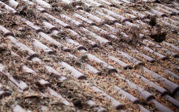 Cae Clyd roof cleaning companies