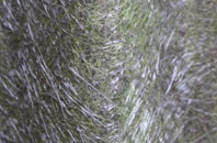 Cae Clyd fibreglass roof work